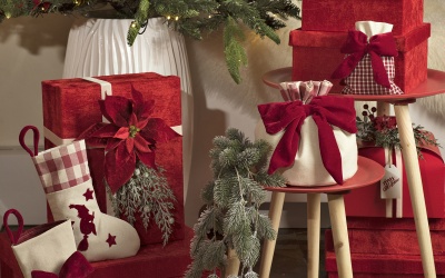 пуансетия на клипсе