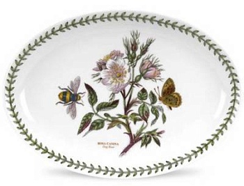 Блюдо овальное Botanic Garden "Шиповник", 28 см 