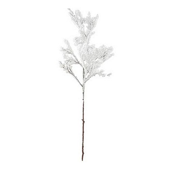 ветка в снегу