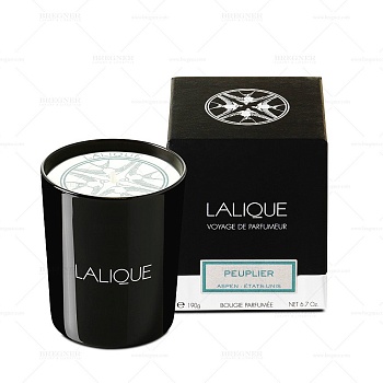 Ароматическая свеча "Peuplier, Aspen - Etats-Unis" 