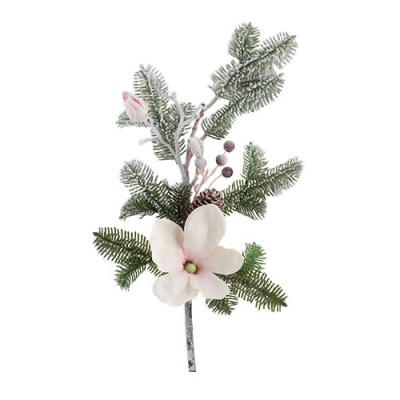 сосновая ветка, магнолия, ягоды