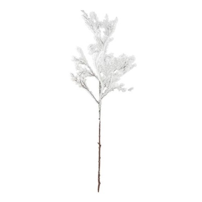 ветка в снегу