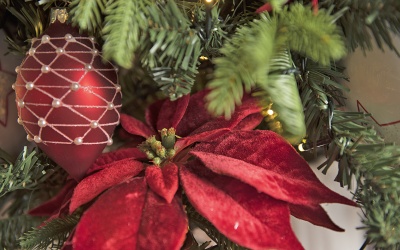 пуансетия на клипсе