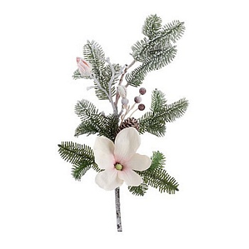 сосновая ветка, магнолия, ягоды